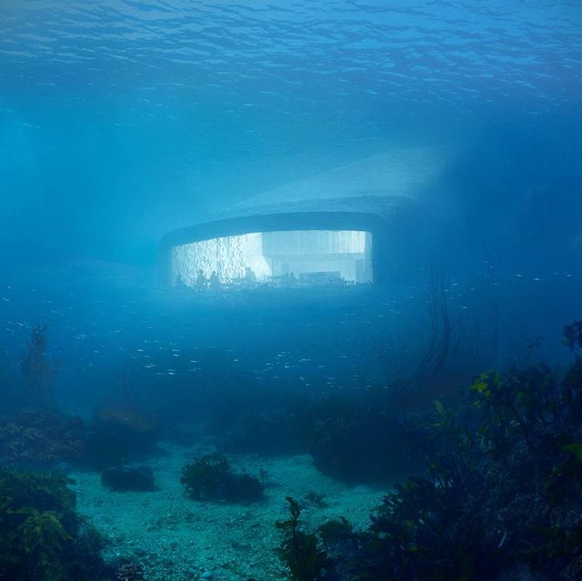 Europe's first Underwater Restaurant (4)