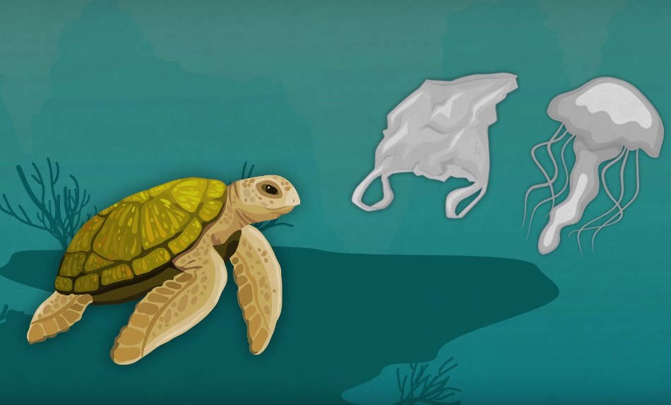 How Much Plastic is in the Ocean