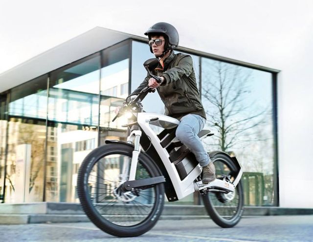 Feddz electric bike (3)