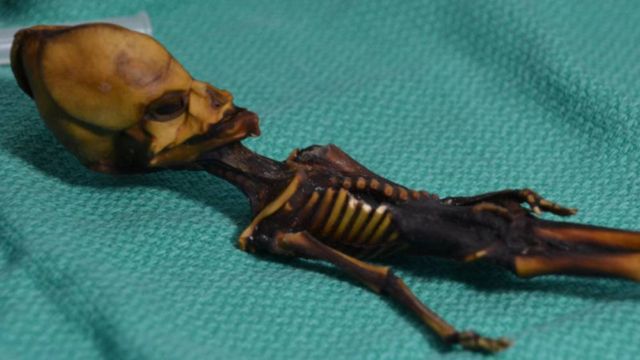 Atacama Alien Mummy