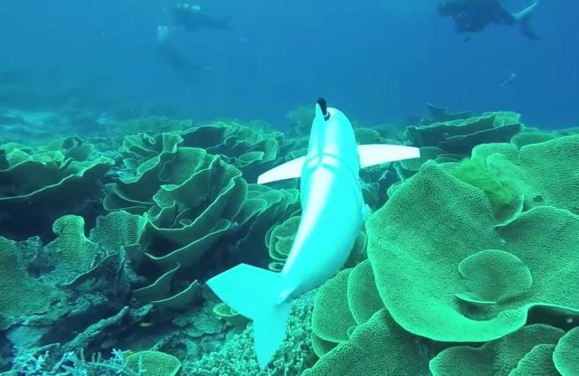 Robotic Fish swims in the Ocean