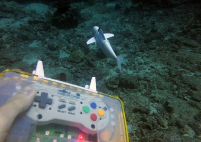 Robotic Fish swims in the Ocean