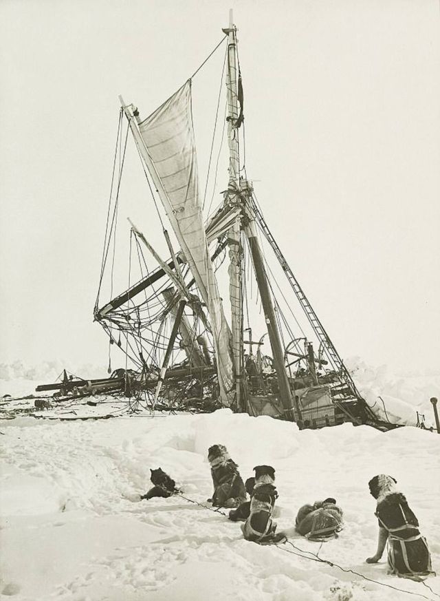 Endurance stuck in the Antarctic ice