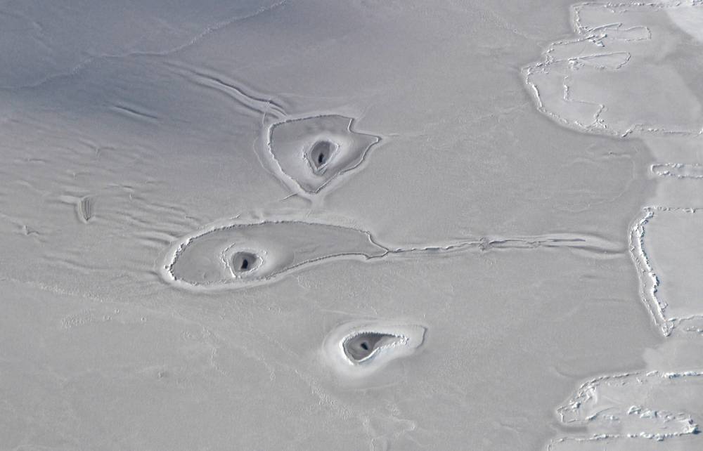 Mysterious Curious Circles in Arctic Sea Ice