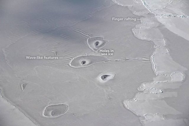 Mysterious Curious Circles in Arctic Sea Ice