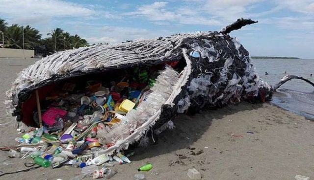 Plastic Pollution kills another Whale
