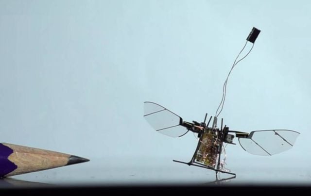 Insect wireless micro-robot first flight