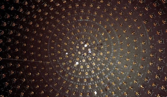 New 'Sterile' Fundamental Particle