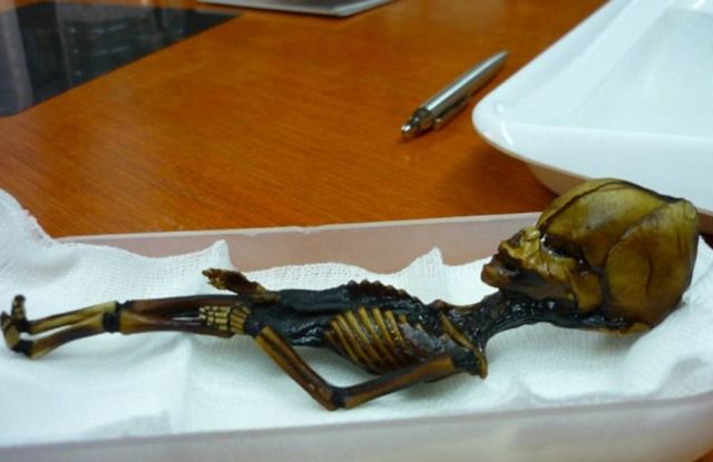 Scientists say ‘Alien’ Mummy Study was Deeply Flawed