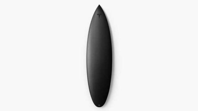 Tesla Surfboard (3)