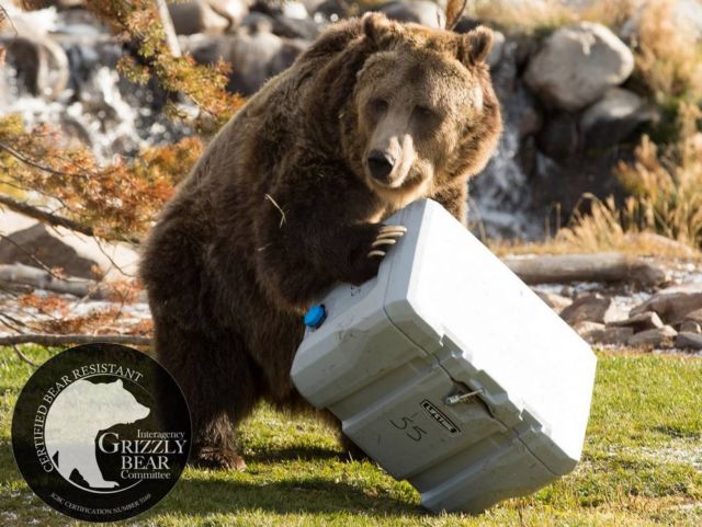 This Cooler Can Keep Ice for 7 days