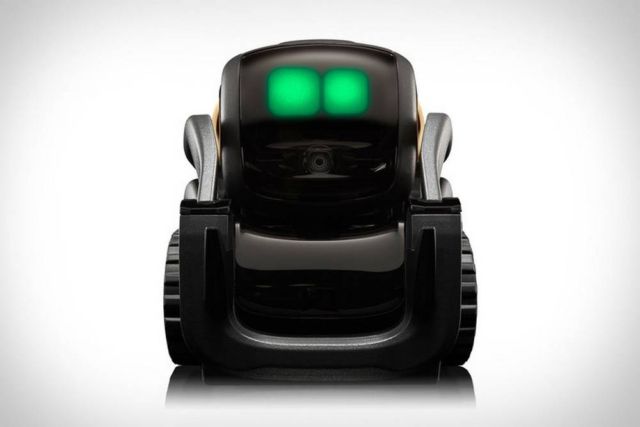 Vector advanced Home Robot