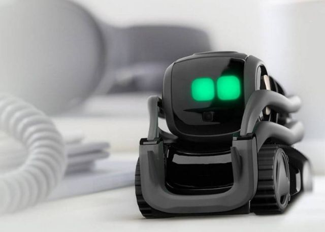 Vector advanced Home Robot 