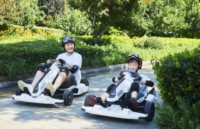 Segway Electric Gokart (3)