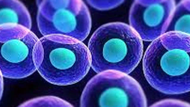 A new kill code embedded in each Cell to extinguish Cancer
