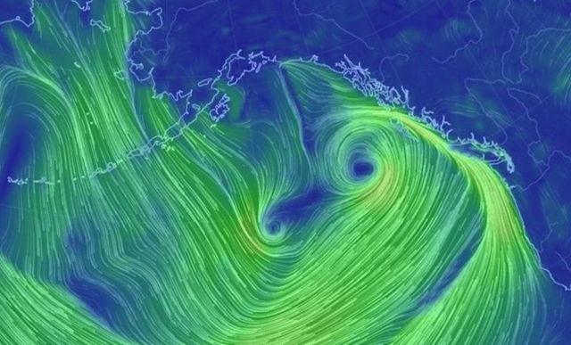 Very large Extratropical Cyclone in the Northeastern Pacific