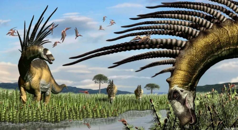 A new long-spined dinosaur from Patagonia