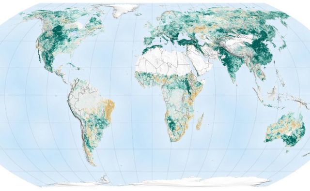 China and India Lead the Way in Greening