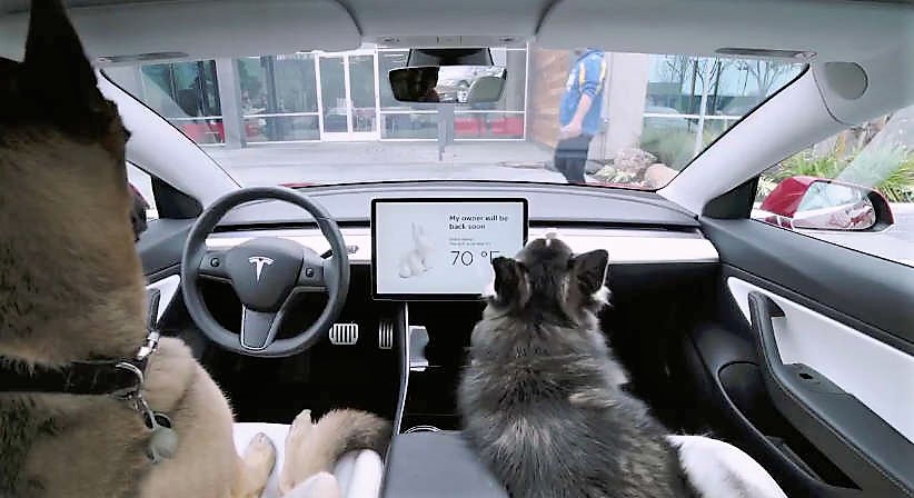 Tesla's cooling Dog and Sentry Mode
