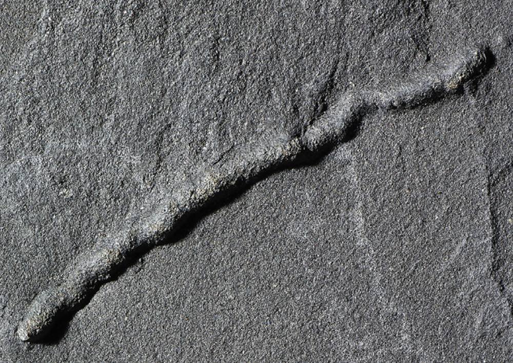 The Oldest Evidence of Mobility is 2.1 billion years old