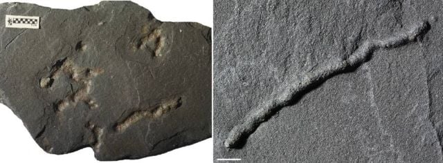 The Oldest Evidence of Mobility is 2.1 billion years old 