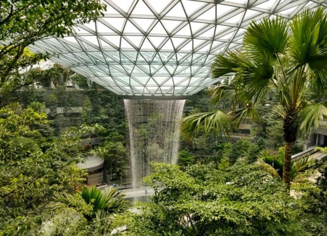 Jewel Changi Airport (7)