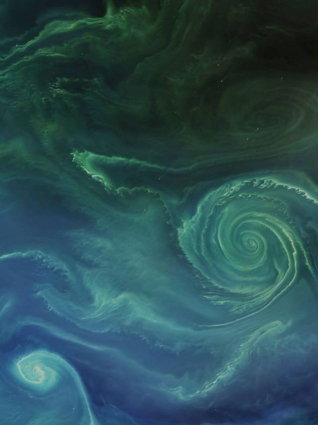 Earth NASA Earth Observatory image