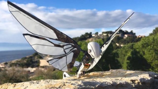 MetaFly- biomimetic controllable creature 