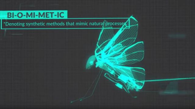 MetaFly- biomimetic controllable creature (4)