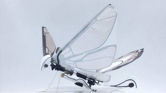 MetaFly- biomimetic controllable creature (3)