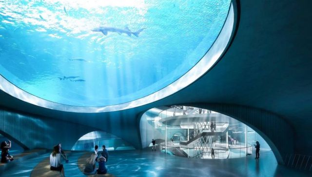 Nature Reserve with an Aquarium in China (4)