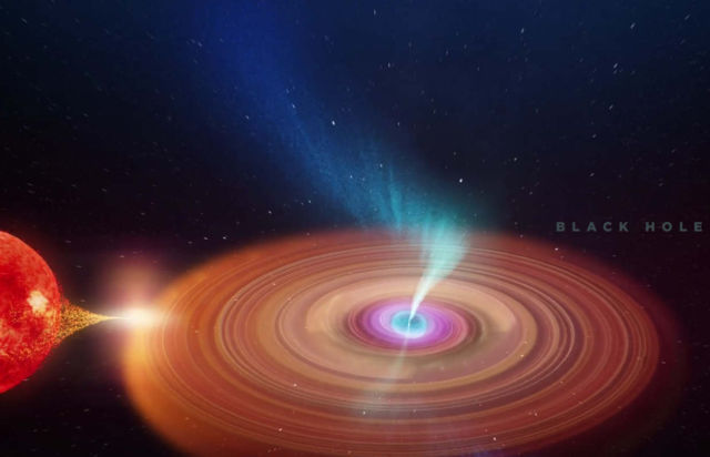 Animation of the Black Hole's precessing jets