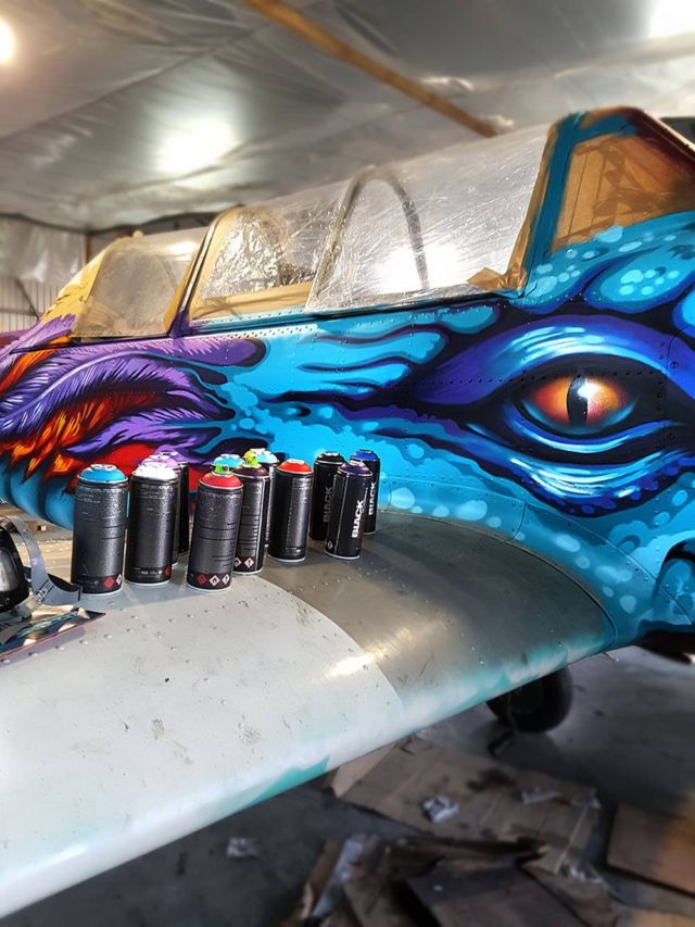 Dragon Graffiti Airplane (1) (2)