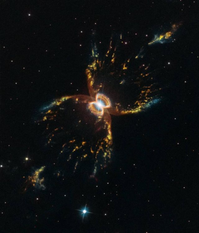 Formation of the Southern Crab Nebula 