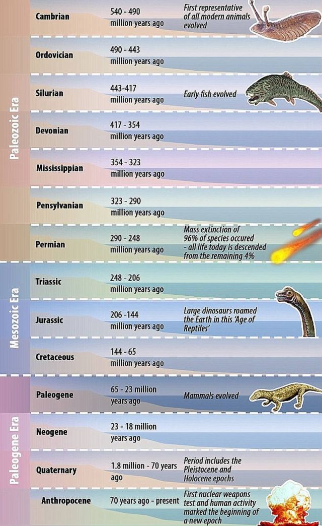 Earth has entered the 'Age of Man'