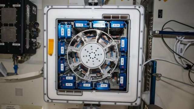 Slowing the Aging Process in Space