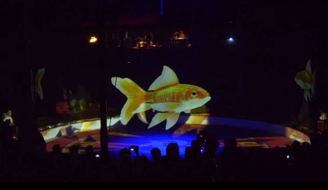 Circus Roncalli replaces Animals with Holograms 