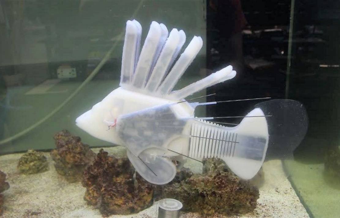 Robotic Fish Is Powered by ‘Synthetic Blood’