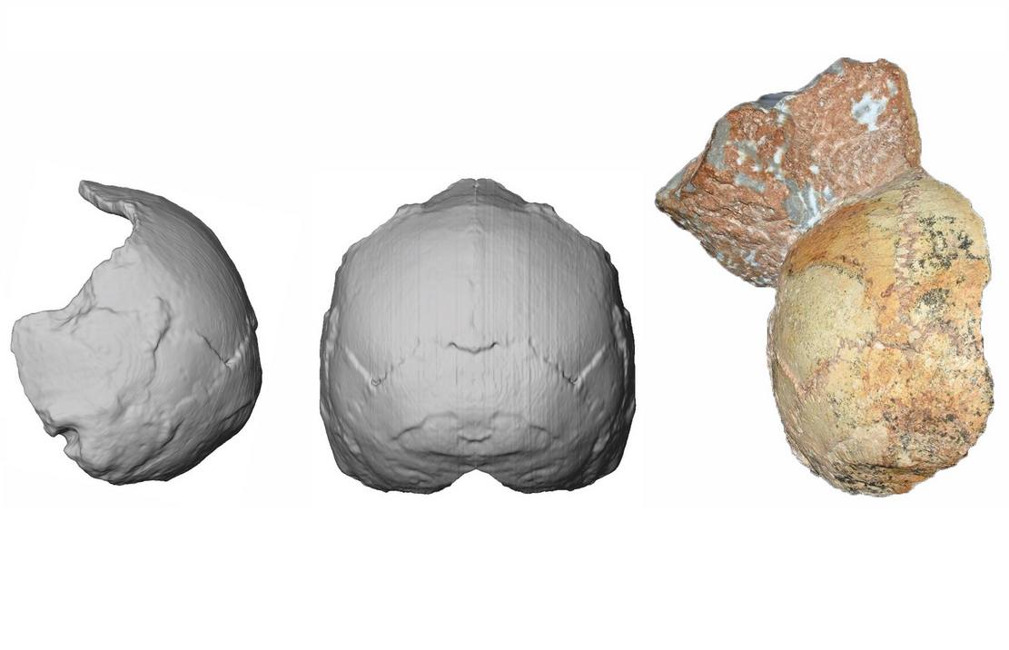 A 210,000-year-old skull discovered in Mani