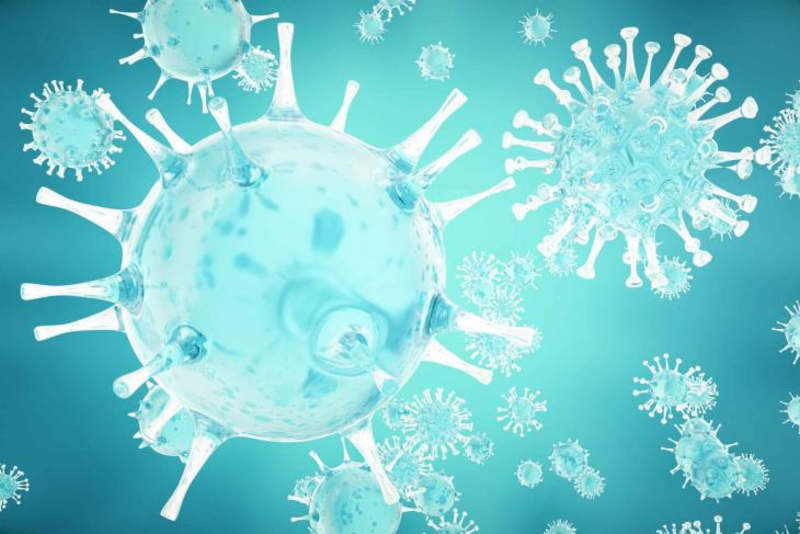 Common cold virus could kill bladder cancer