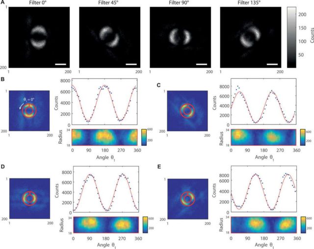 Image of Quantum Entanglement captured for the first time