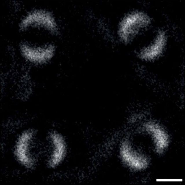 Image of Quantum Entanglement captured for the first time 