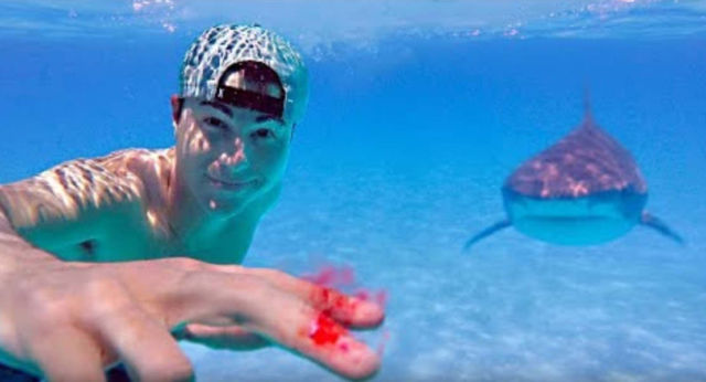 Testing if Sharks Can Smell a Drop of Blood