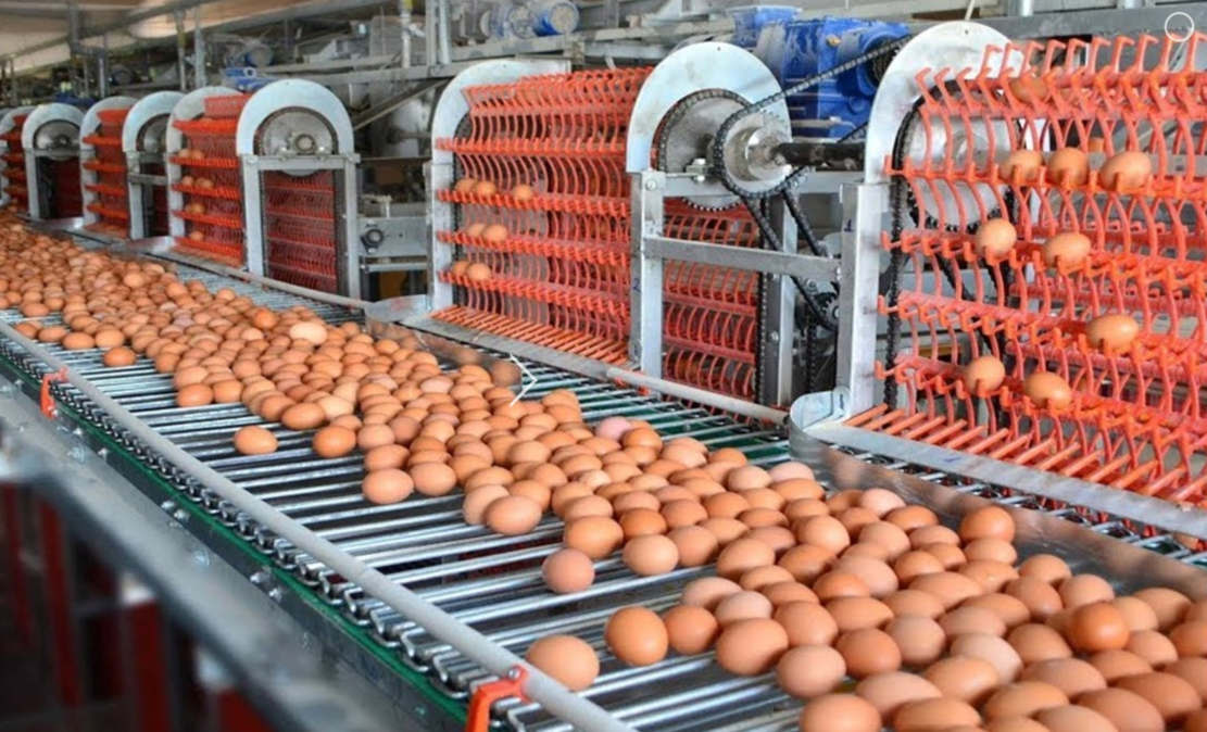 Food Industry Machines that are at another level
