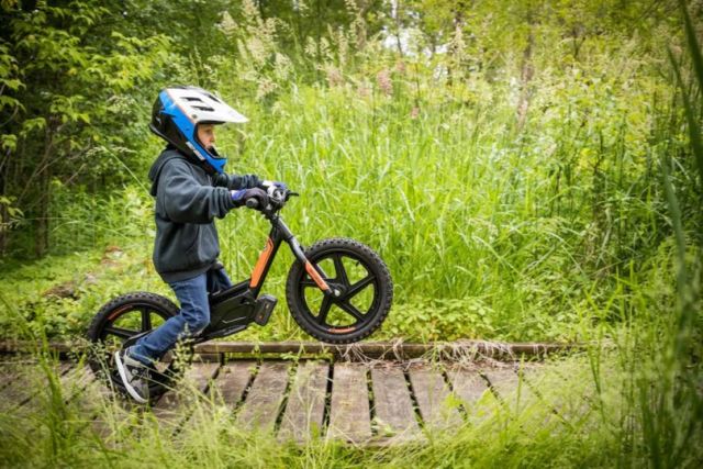 Harley-Davidson electric bikes for Kids (2)