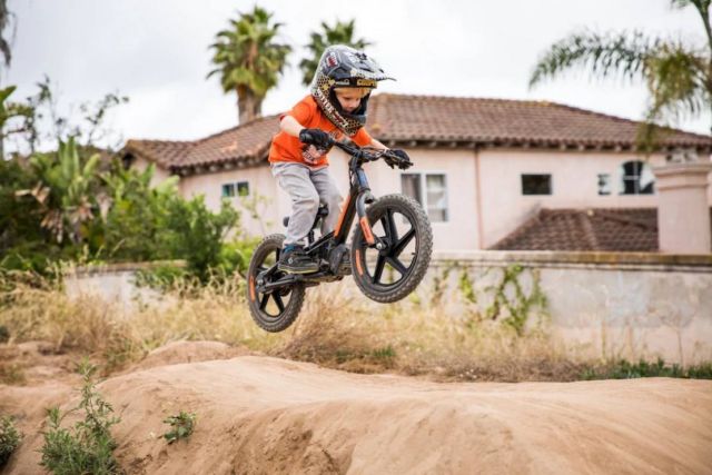 Harley-Davidson electric bikes for Kids (1)