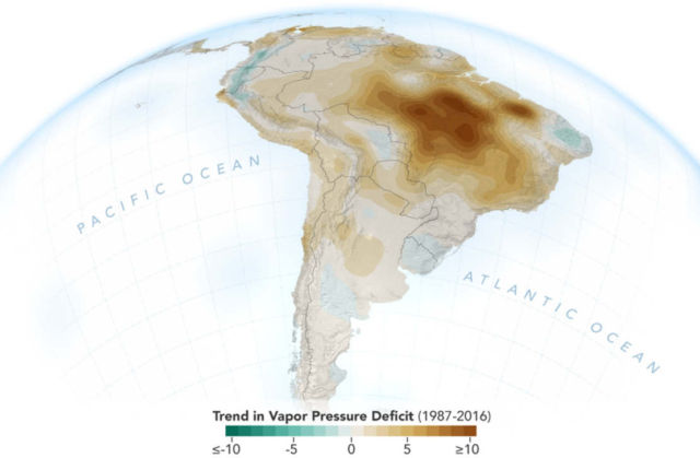 Human Activities are Drying out the Amazon