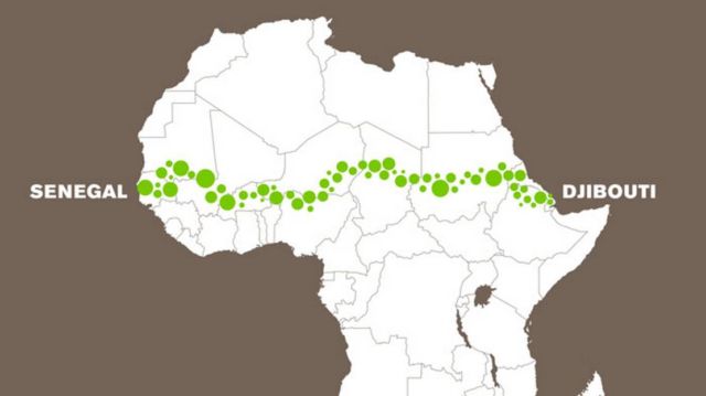 The 'Great Green Wall' (3)