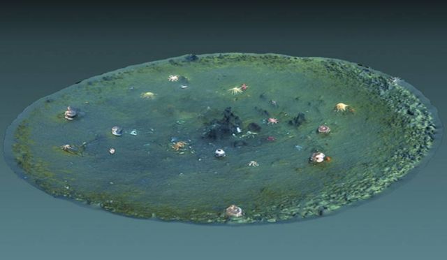 Thousands of Mysterious Holes discovered in the Ocean Floor