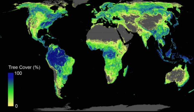 Global Tree restoration to stop climate change